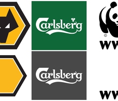 Brands and sports teams remove nature from logos in biodiversity loss warning