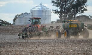 After a dusty start to the season, crops are up and away in WA. 