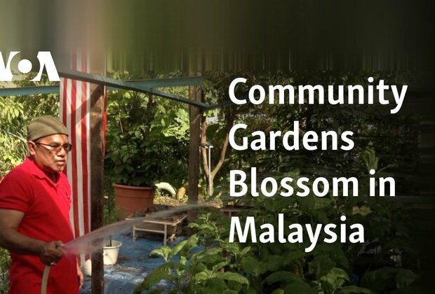 Community Gardens Blossom in Malaysia