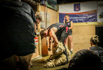 Welsh shearer achieves new British Shearing Record