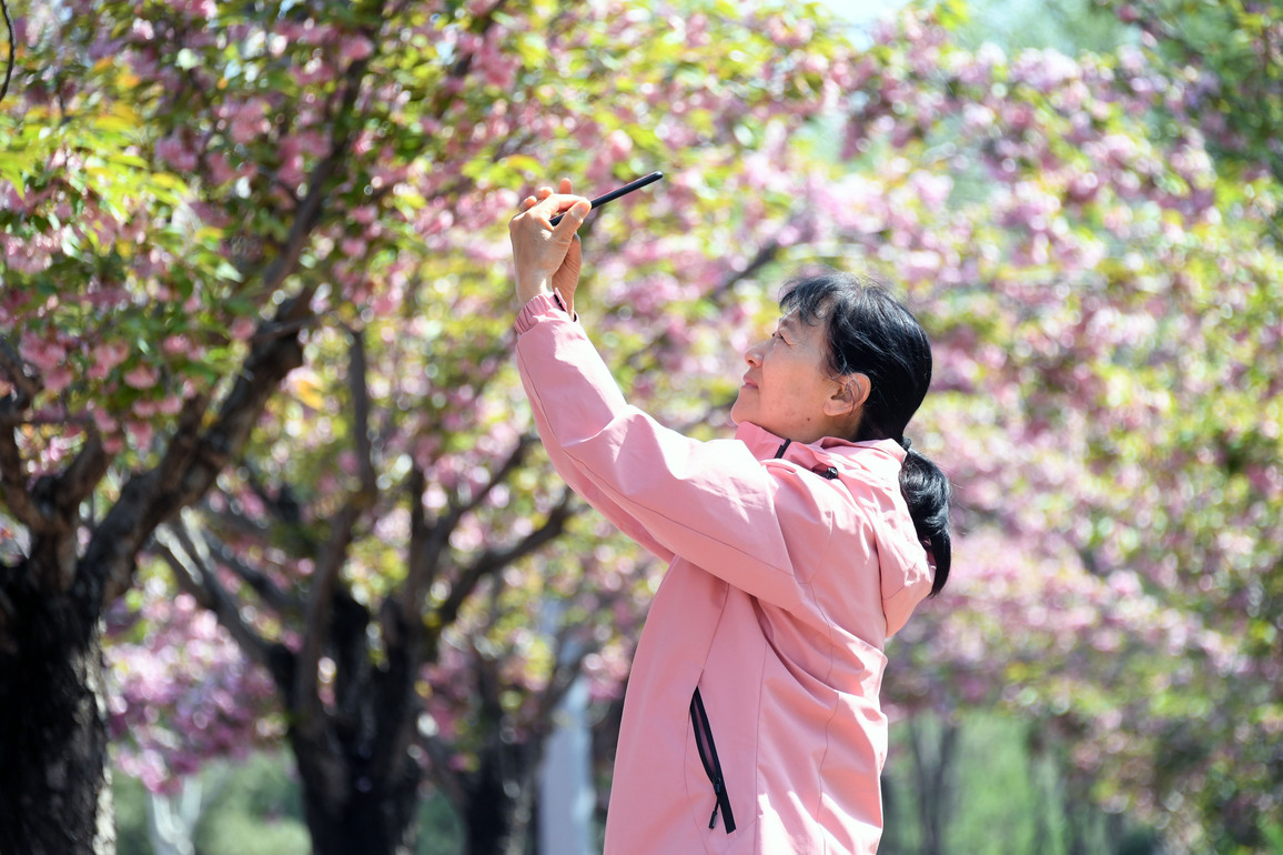 CHINA-SPRING-FLOWER-TOURISM (CN)