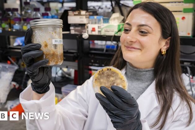 Food industry- How waste is made tasty using an ancient trick