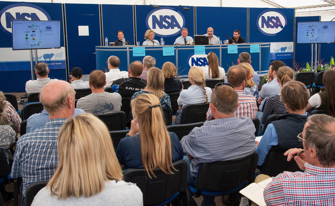 Seminars at NSA Sheep will address the future of sheep farming, trade, environmental issues and change.