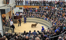 Auction mart turnover smashes £2bn mark