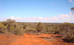 Macarthur Minerals' ground in Western Australia's Yilgarn region