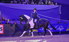 Another HOYS supreme for Jayne Ross