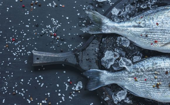 J-Star acquires Japan aquaculture business
