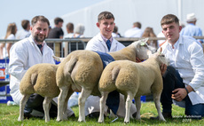 Royal Highland Show: Commercial sheep champions claim supreme sheep title  
