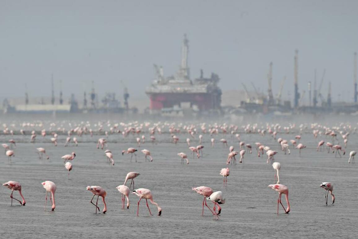 Namibia ships first export consignment under AfCFTA framework