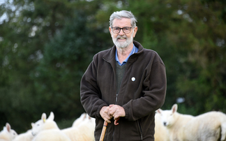 Cheviots still at the heart of breeder's passion