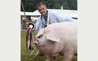 Royal Cornwall Show preview: Preserving Cornwall's native pig