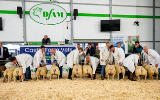 Entries up at North East Live