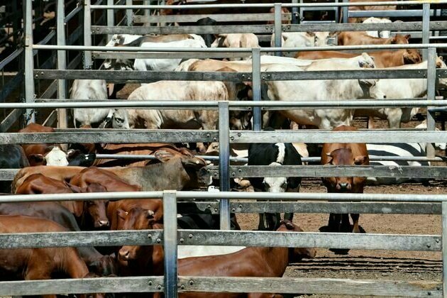 What are non-tariff barriers - and why is agriculture so exposed?