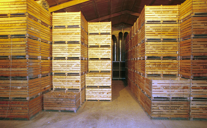 Arable Farming special: New data reveals the crop safety of potato sprout suppressants