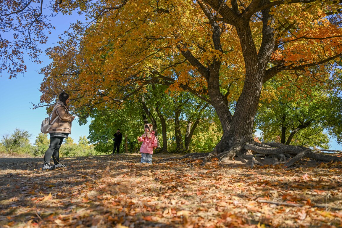 CHINA-INNER MONGOLIA-TONGLIAO-AUTUMN SCENERY (CN)