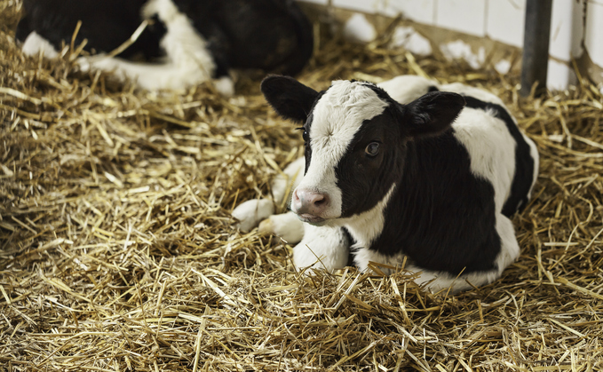  are being urged to sign up to the Cattle Well-being Pledge