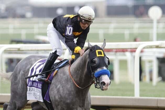 Napoleon Solo captures Preakness; top 3 did not run in Kentucky Derby