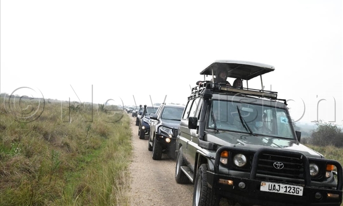 Convoy scares away lions in National Park Convoy scares away lions in National Park