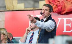 View from the Rostrum - Russell Steer: "With numbers looking tight, there has never been a better time to market your stock"