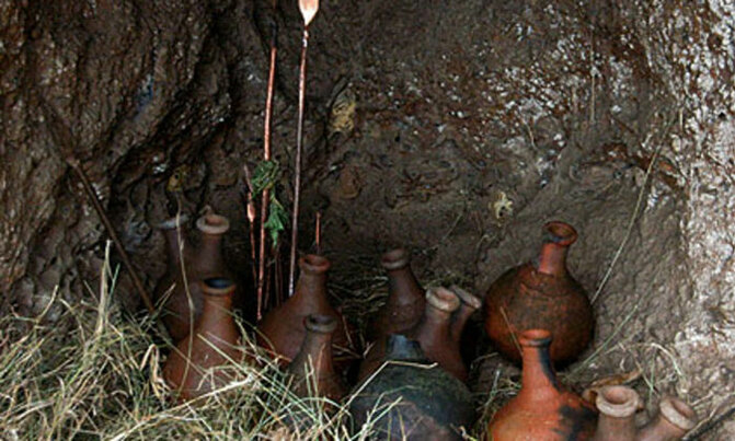 Witchdoctors given two weeks to leave Witchdoctors given two weeks to leave
