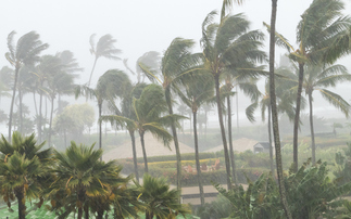 'A survival guide for humanity': The green economy reacts to the IPCC Synthesis Report
