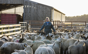 farmersguardian.com - Mia Willemsen - Women in farming report lower mental well-being than national average in every age group, study shows