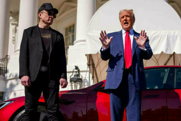 Trump says DOGE should investigate Musk