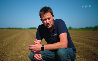 Wireworm spread hits tuber surface damage