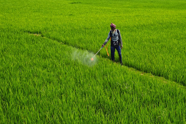 India's agrochemical exports set for moderate rebound in FY25: Rubix report