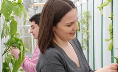 Writtle University College launches Regenerative Food Systems MBA