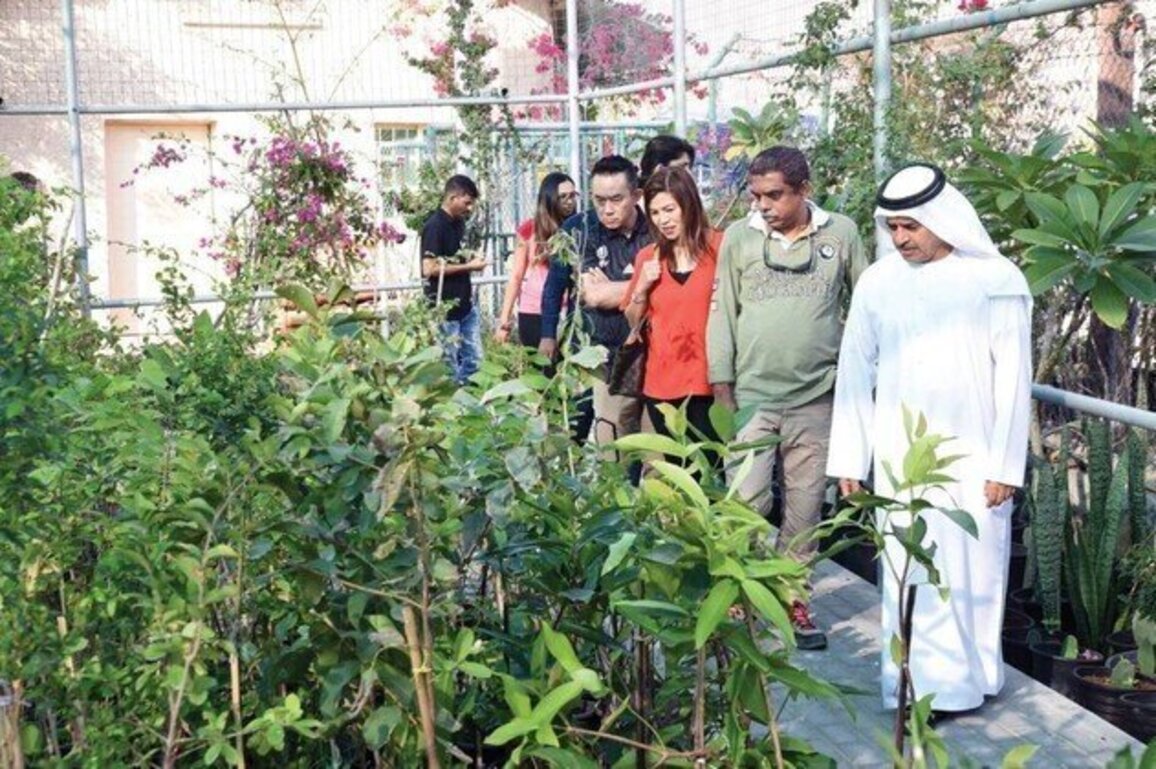 Citizen-owned farms emerge as leading investment projects, sustainable tourism destinations