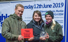 NSA Highland Sheep 2025 shines at Midfearn Farm