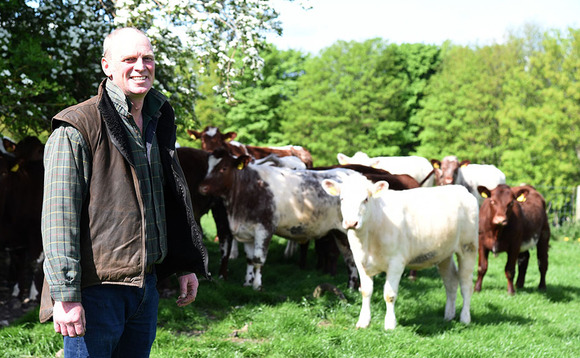Native breed proves to be commercially viable