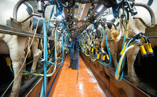 Pensworth to withhold 75 per cent of milk payments due to Covid-19 outbreak