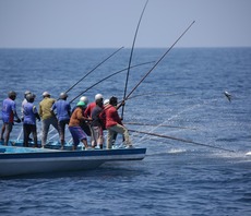 Sainsbury's commits to sustainable tuna sourcing 