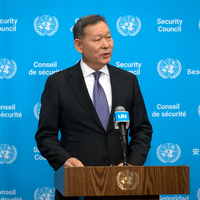 UN-SECURITY COUNCIL-NON-PERMANENT MEMBERS