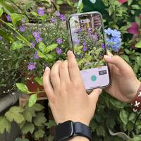 Smart tech changing how Chinese people experience nature