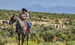 Indigenous groups are staging a walk-through at the White Mesa Mill in October. Photo: White Mesa Concerned Community / Tim Peterson