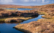 Protecting a 'great national asset': Government sinks £16m into 12 new peatland projects