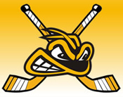 PTS sponsorship keeps the Bracknell Bees buzzing