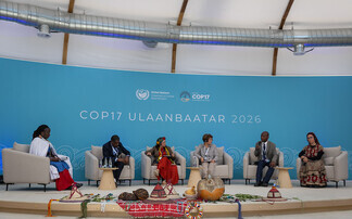 COP17: How UN desertification talks delivered 'mixed results' for combatting drought and land degradation