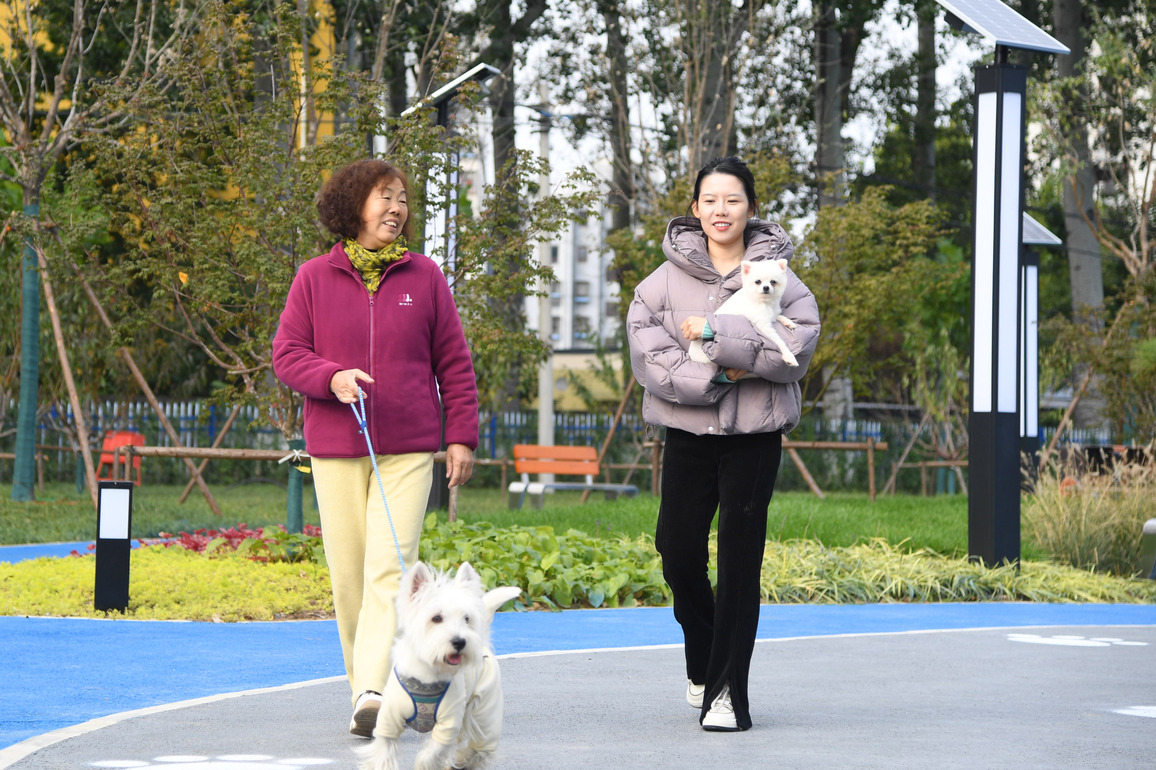 CHINA-BEIJING-PET-FRIENDLY PARK (CN)
