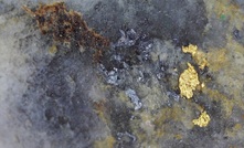 Visible gold from Comstock