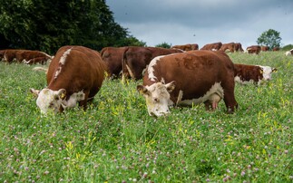 Regen special: FG survey reveals 43% of farmers believe consumers will pay more for regen-produced food