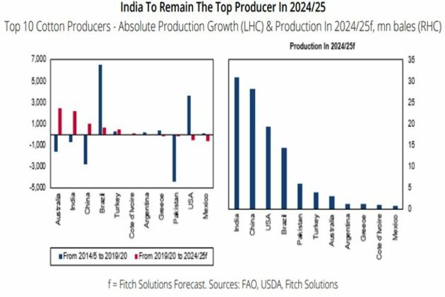 India's cotton production to fall by 1 pc: Fitch