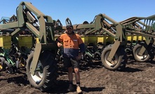 Flexible sorghum for early planting