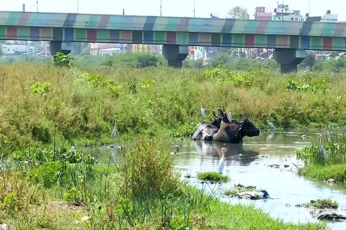 Tamil Nadu: Madurai residents demand Vaigai river restoration ahead of Assembly polls