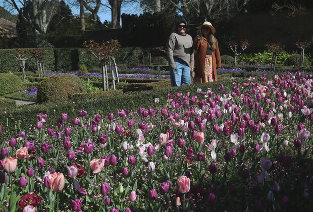 U.S.-CALIFORNIA-WOODSIDE-SPRING FLOWERS