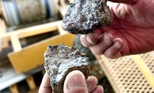 Copper and gold ore