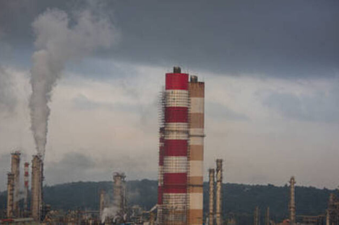 Russian oil supplies to India surge - media